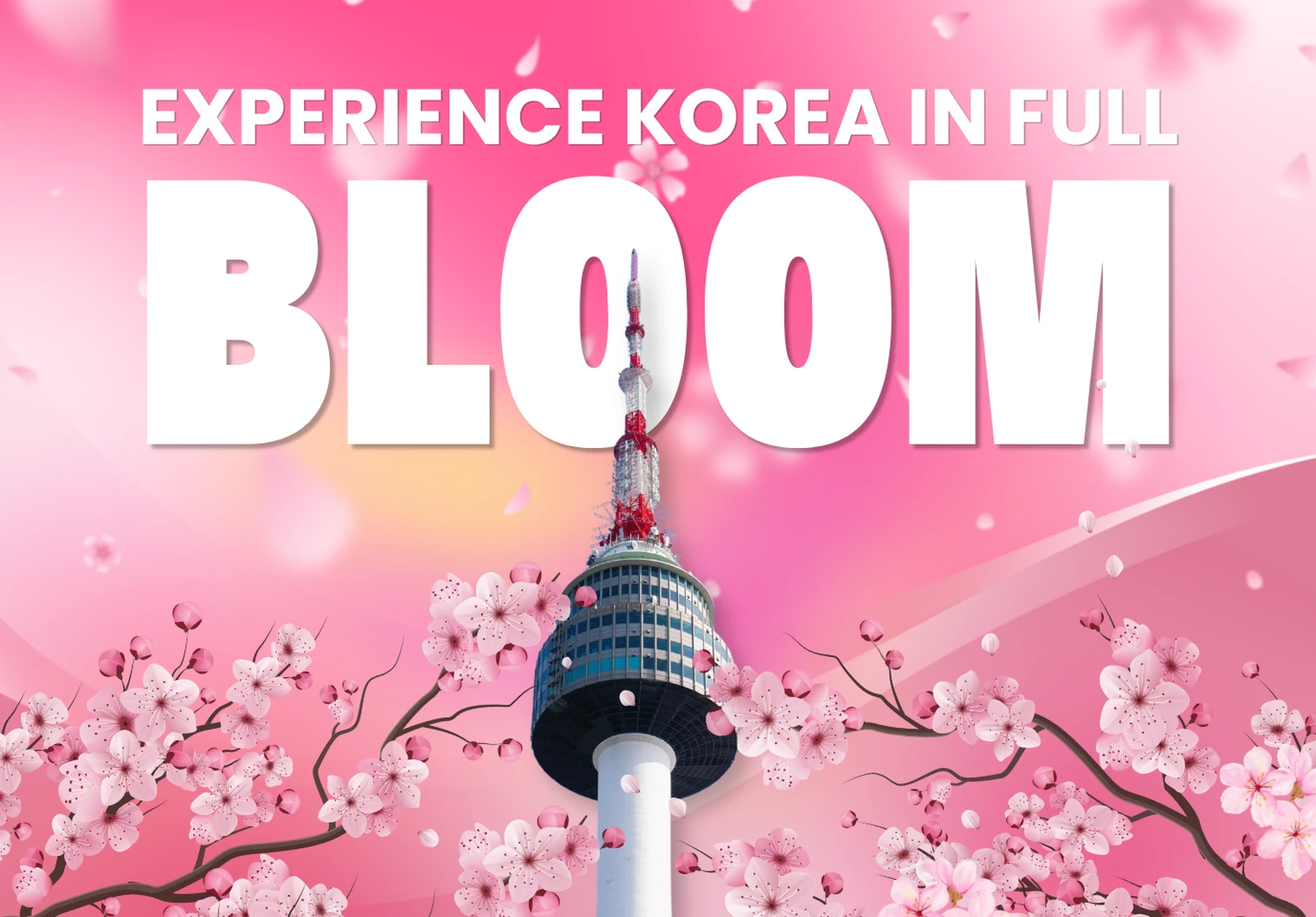 Blooming Korea Escape