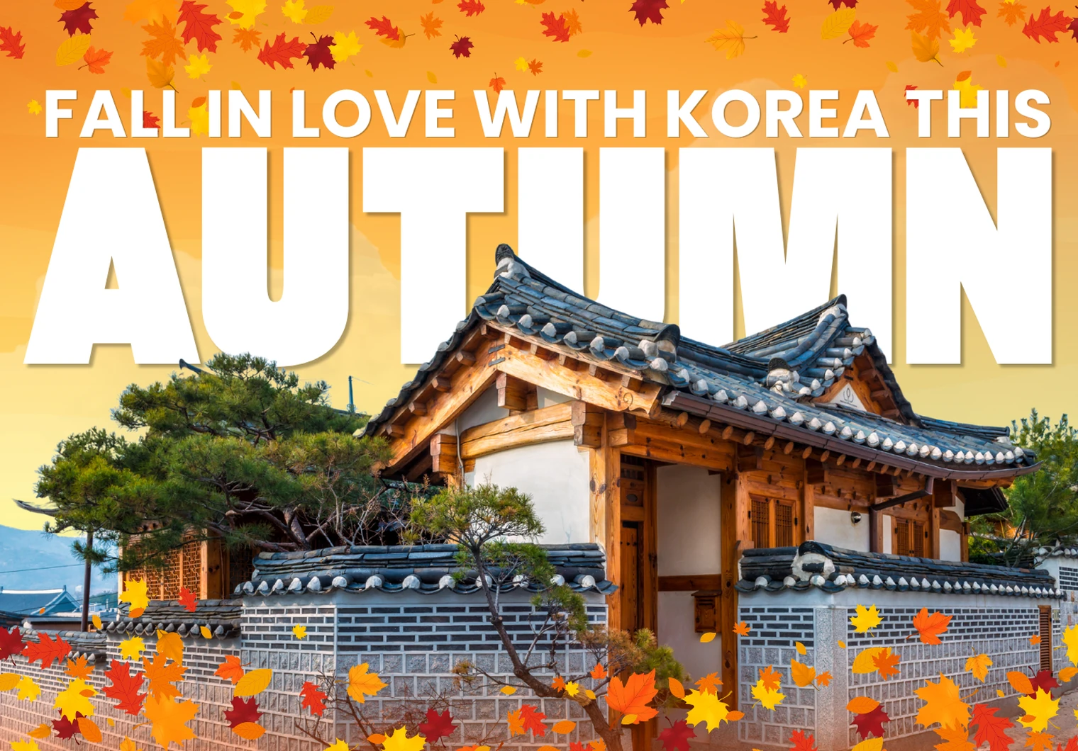 Korea in Golden Hues